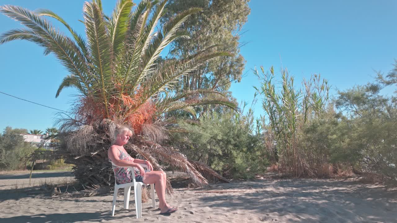 Female holiday maker sits on sandy beach under palm tree