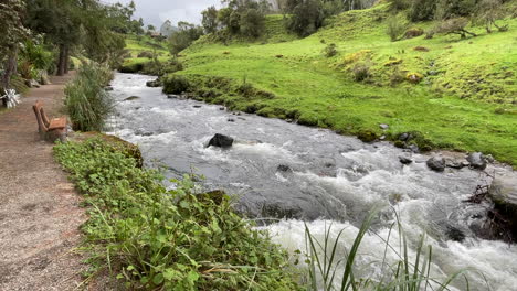 river flowing in the middle of woodland of ecuador-1