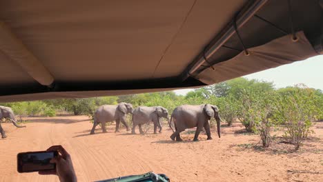 Safari-Skyline-Im-Chobe-Nationalpark-In-Kasane,-Botswana