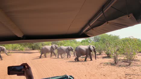 el horizonte del safari en el parque nacional de chobe en kasane, botswana