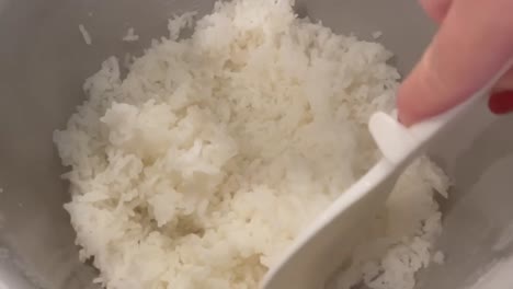 Sticky-short-grain-white-rice-steaming-in-the-rice-cooker