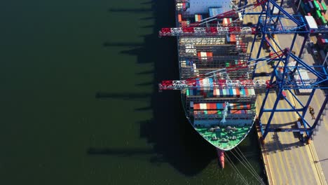 container ship in export and import business and logistics