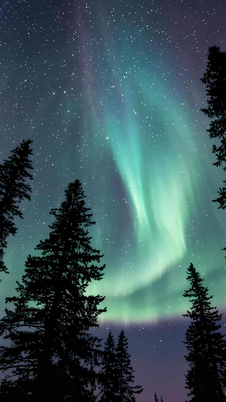 Vertical video: Recording camera filming aurora shifting over conifers at night, capturing stars