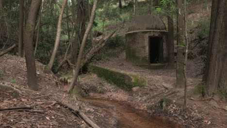 Pequeña-Fuente-Con-Casita-De-Cemento-En-Medio-De-árboles-Forestales-Y-Corriente-Corriente