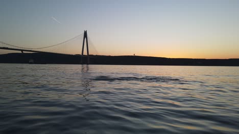 dolphins and yavuz sultan selim bridge drone video beykoz