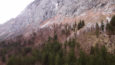 Bosque-Aéreo-De-Otoño-O-Primavera-Con-árboles-Muertos-En-Austria,-Ladera-Rocosa-De-La-Montaña