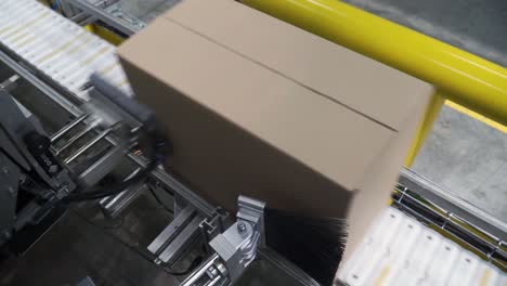 automated cardboard box packaging line