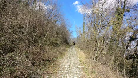 a woman with a backpack is moving forward on a trail in the mountains