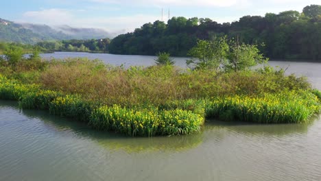 tiber farfa nature reserve, nazzano, lazio, italy.