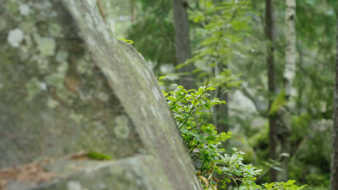 un hombre decidido con una mochila sube a un concepto de roca: la búsqueda de un objetivo 4k video