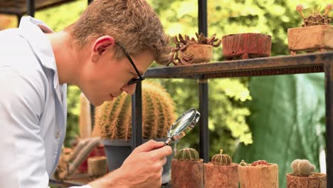 man in white coat examining cactus through magnifying glass while working in greenhouse garden. workers examining cactus plants in plant nursery. small business entrepreneur and plant caring concept.