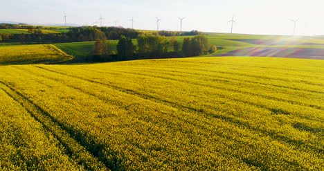 Power-Tecnología-Windmills-Farm