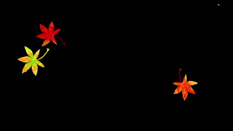 autumn leaves falling loop animation