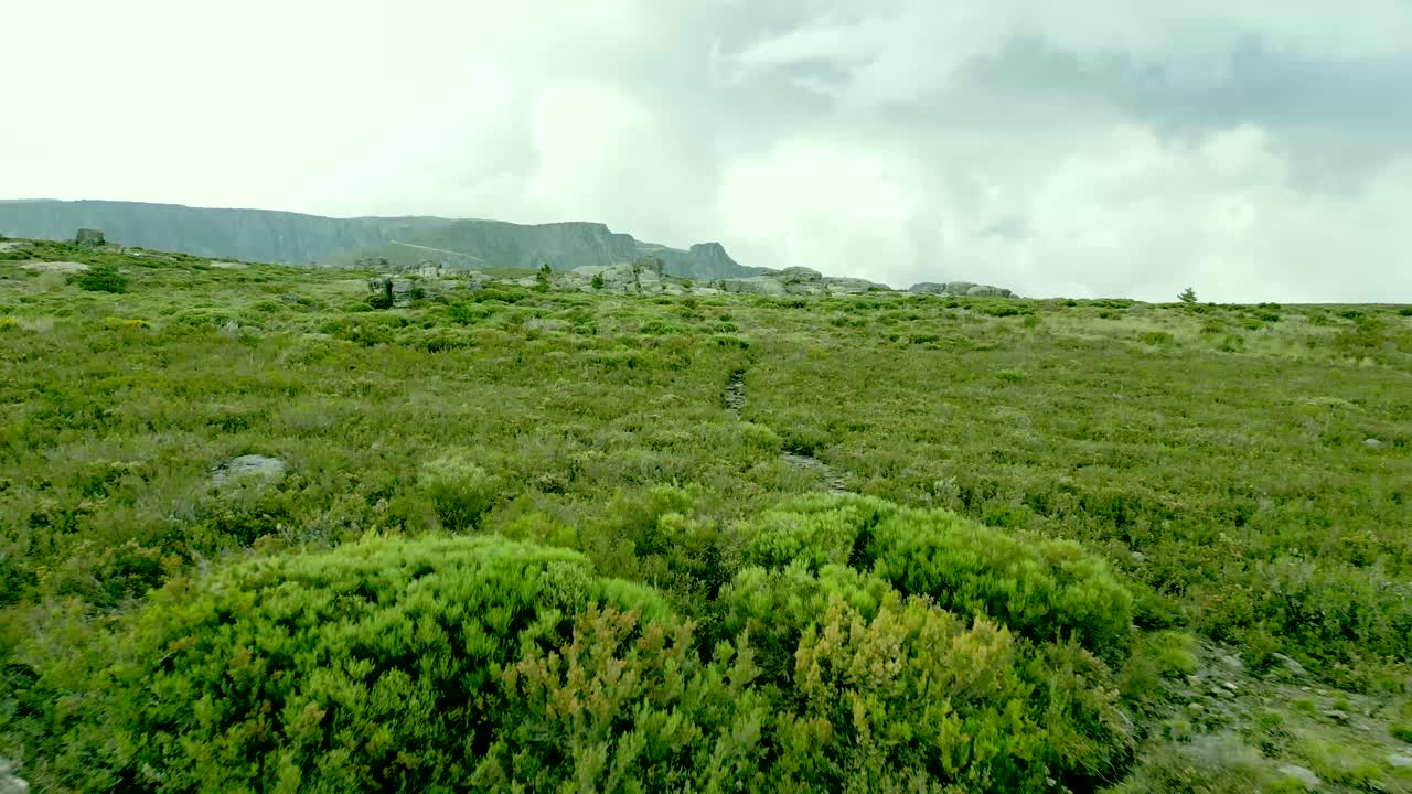 Rapidly moving shots resembling a bird's-eye view, capturing the landscape of a Portuguese national park