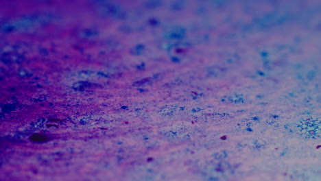 colourful, organic, liquids macro shots buzzing and flowing