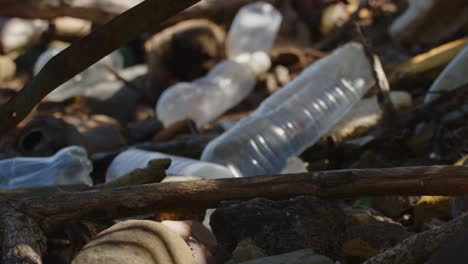 rubbish lying on ground near tropical beach of guadeloupe