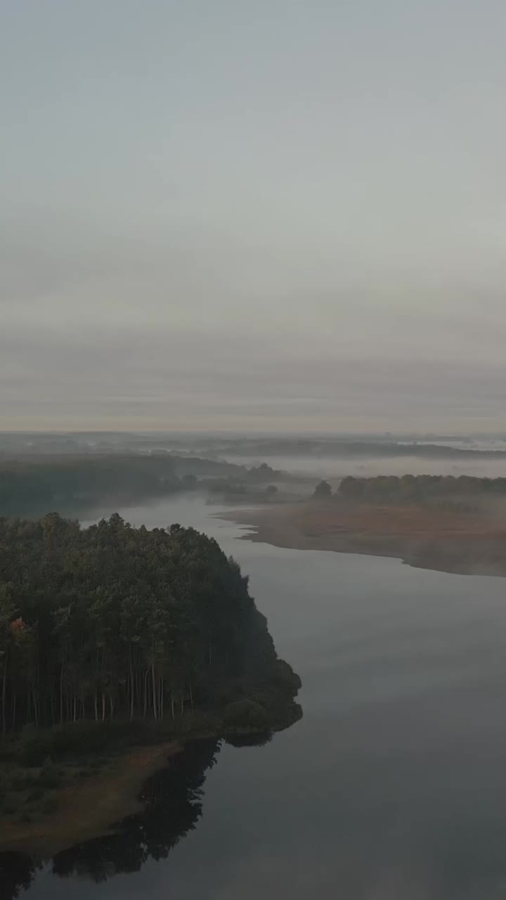 안개가 가득한 강과 숲의 풍경