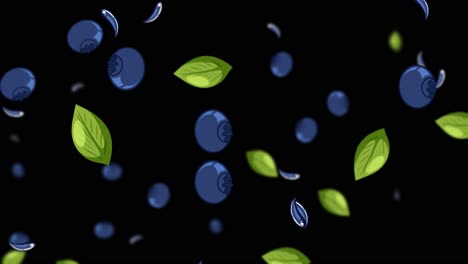 Blueberries and leaves cascade against a black background