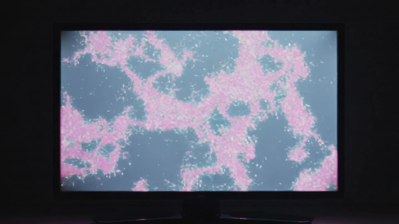 Avvio della riproduzione su un display a schermo piatto che mostra il movimento di nuvole rosa che si evolvono in una stanza buia, creando un'illuminazione d'atmosfera.