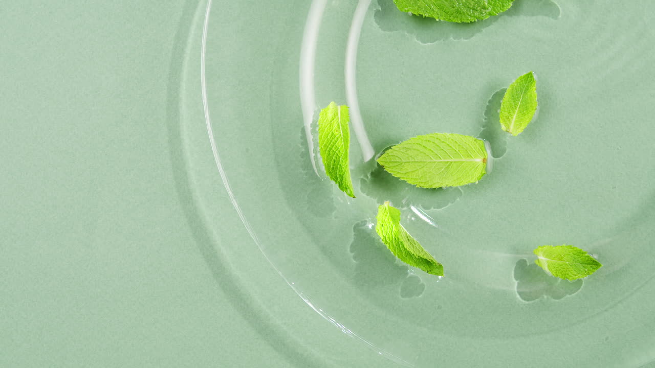 Mint leaves in water on green background. Freshness.