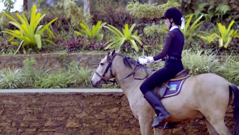 female horse rider, horse dressage, horse riding ranch, slow motion, slomo horses