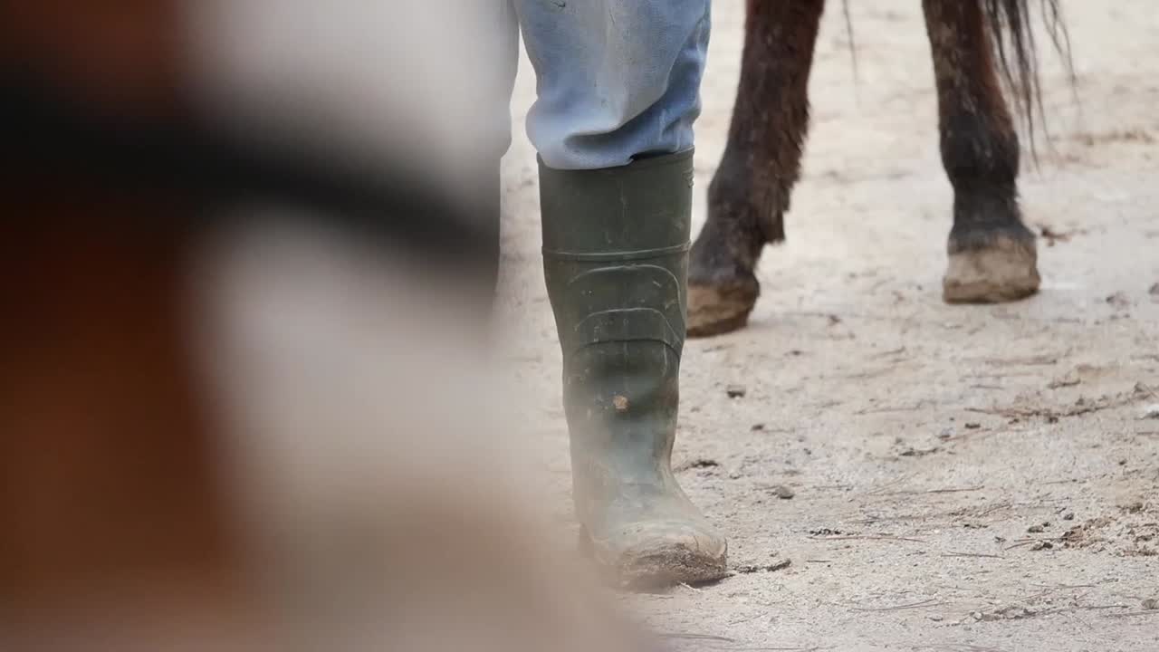 Person in Dirty Rubber Boots near Horses