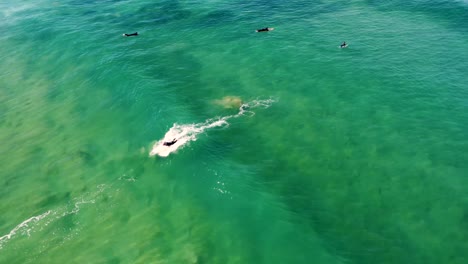 Drone-aerial-follow-footage-of-surfer-riding-beach-break-crystal-clear-Pacific-Ocean-Central-Coast-Shelly-Beach-NSW-Australia-3840x2160-4K