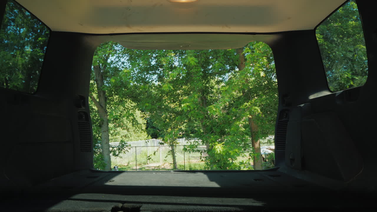 un hombre y una mujer están cargando las jaulas con perros en el maletero de un coche para el transporte