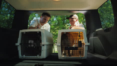 a man and a woman are loading the cages with dogs into the trunk of a car for transportation