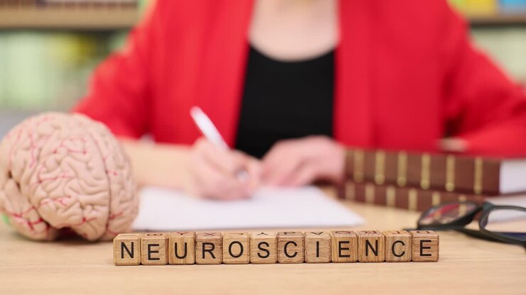 Studio di neuroscienze