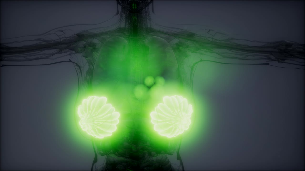 비만 여성의 유방선에 대한 의학적으로 정확한 그림