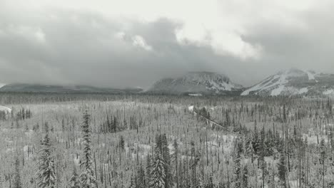 4k aerial frozen evergreen forest with snowy mountains in background