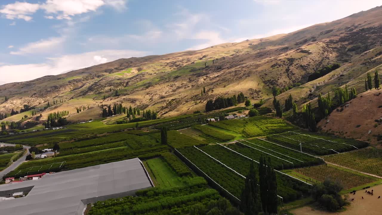 valle lleno de ricas tierras frutales en el paisaje rural de nueva zelanda, aérea