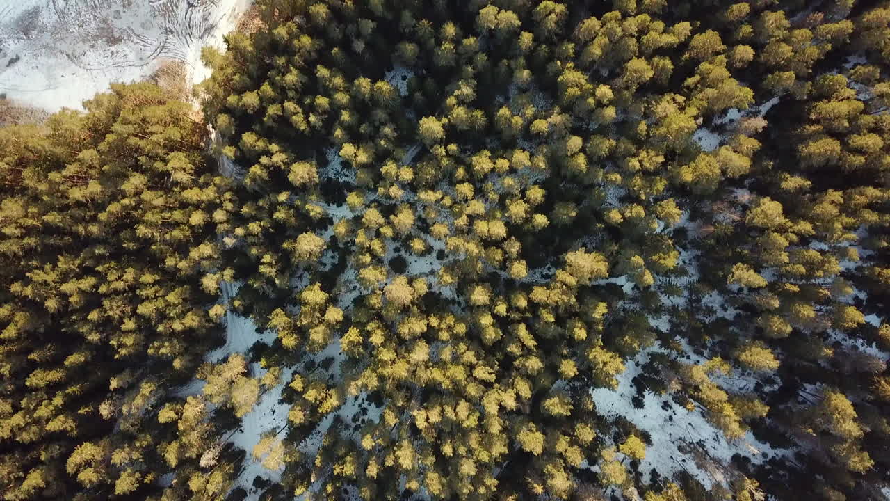 deslizándose sobre un bosque nevado en invierno, revelando donas de automóvil hechas en el campo al lado del lugar de picnic una toma panorámica constante hacia abajo