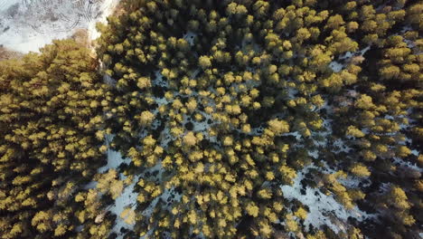 deslizándose sobre un bosque nevado en invierno, revelando donas de automóvil hechas en el campo al lado del lugar de picnic una toma panorámica constante hacia abajo