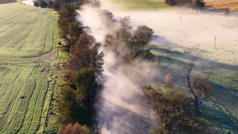 drone footage captures early morning fog drifting along a tree-lined rural road beside green farmland near tamworth, australia, with soft golden sunlight