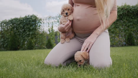 Pregnant-woman-playing-with-puppies-on-the-lawn-near-her-house