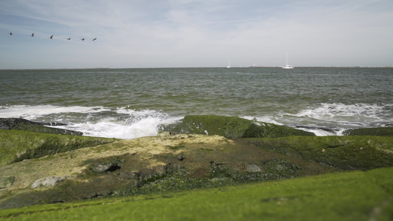 птицы, низко летящие над морской водой у входа в гавань