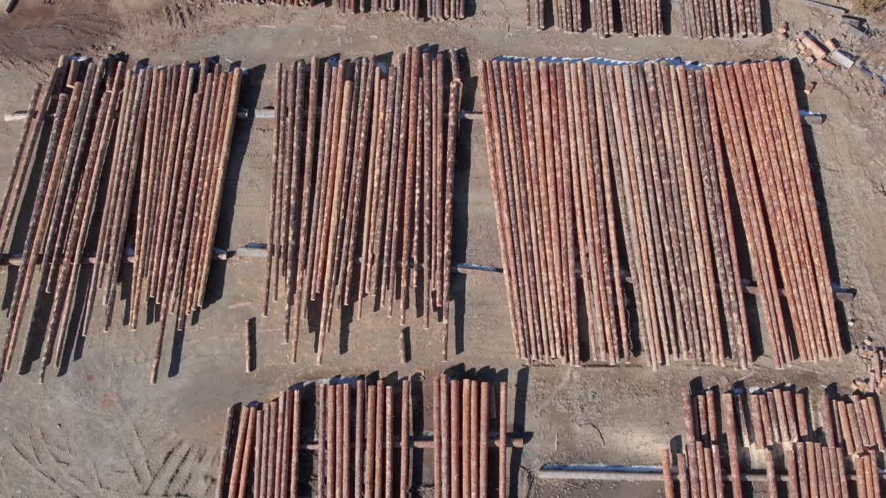 나무 로그의 더미 위에 상단 아래로 안테나 나무 어리