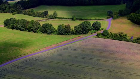 aerial shot of curved rural road passing through fields and grassland next to a forest edge on a sunny day