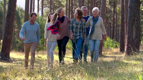 multi generation family with teenage kids walking in nature