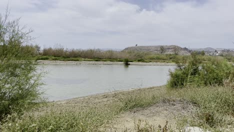 Pequeño-Lago-En-La-Naturaleza-Con-Aves-Protegidas-De-Sletene-En-España-Cuando-Hace-Buen-Tiempo.