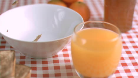 los cereales caen en cámara súper lenta
