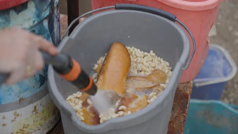 woman washing bread and macaroni in a bucket with a hose