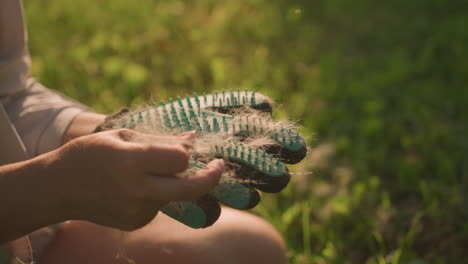 close-up of hand removing collected dog fur from grooming glove, showcasing fur removal details with blurred background featuring greenery under warm sunlight in grassy field