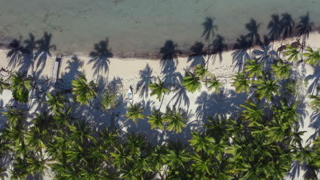 tropical white sand palm beach with boat and wooden pier on shore