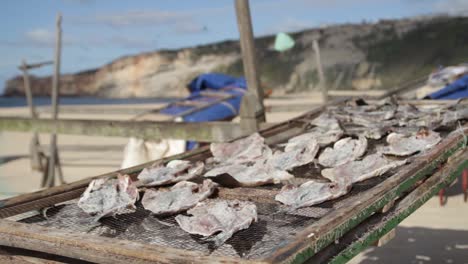 Pescado-Seco,-Al-Aire-Libre,-En-La-Playa-De-Nazaré-En-Portugal,-Mantiene-La-Tradición-De-Secar-El-Pescado-Para-Los-Días-De-Escasez