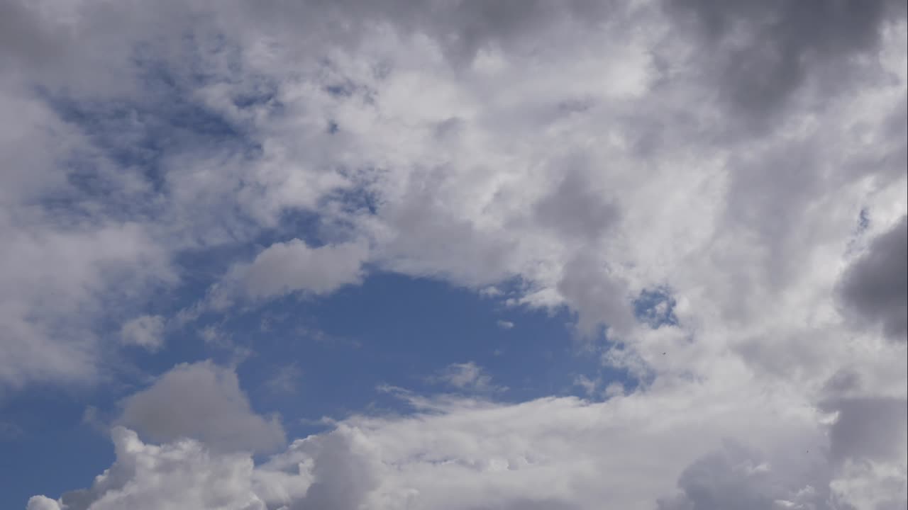 cielo azul nubes blancas. nubes puffy fluffy blancas. nube cúmulo scape lapso de tiempo. verano cielo azul lapso de tempo. dramático majestuoso increíble cielo azul. nubes blancos suaves se forman. nubes fondo lapso de time
