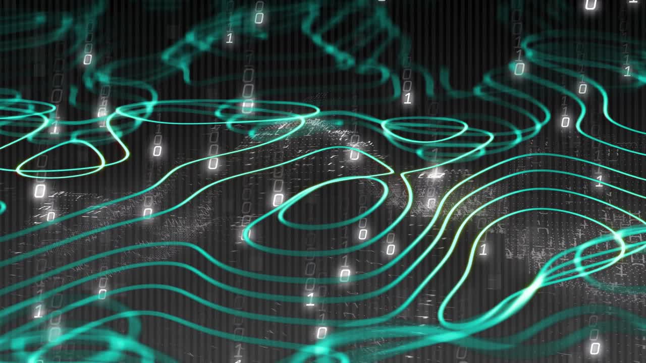 바이너리 코딩으로 연결 네트워크의 애니메이션