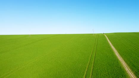 flying over a bright green field with a footpath in the middle